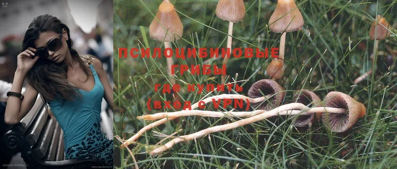 Галлюциногенные грибы MAGIC MUSHROOMS  hydra зеркало  Карабаново 